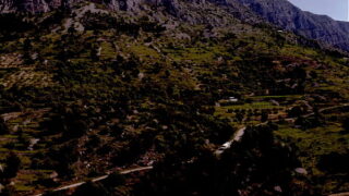 Slutty Seminars Chapter 1: Bi Hotties Shalina Devine And Cara Mella Enjoy Poolside Strap On Fun GP3357